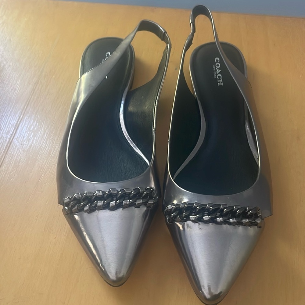 Coach Rodney pointed toe sling back size 10 .